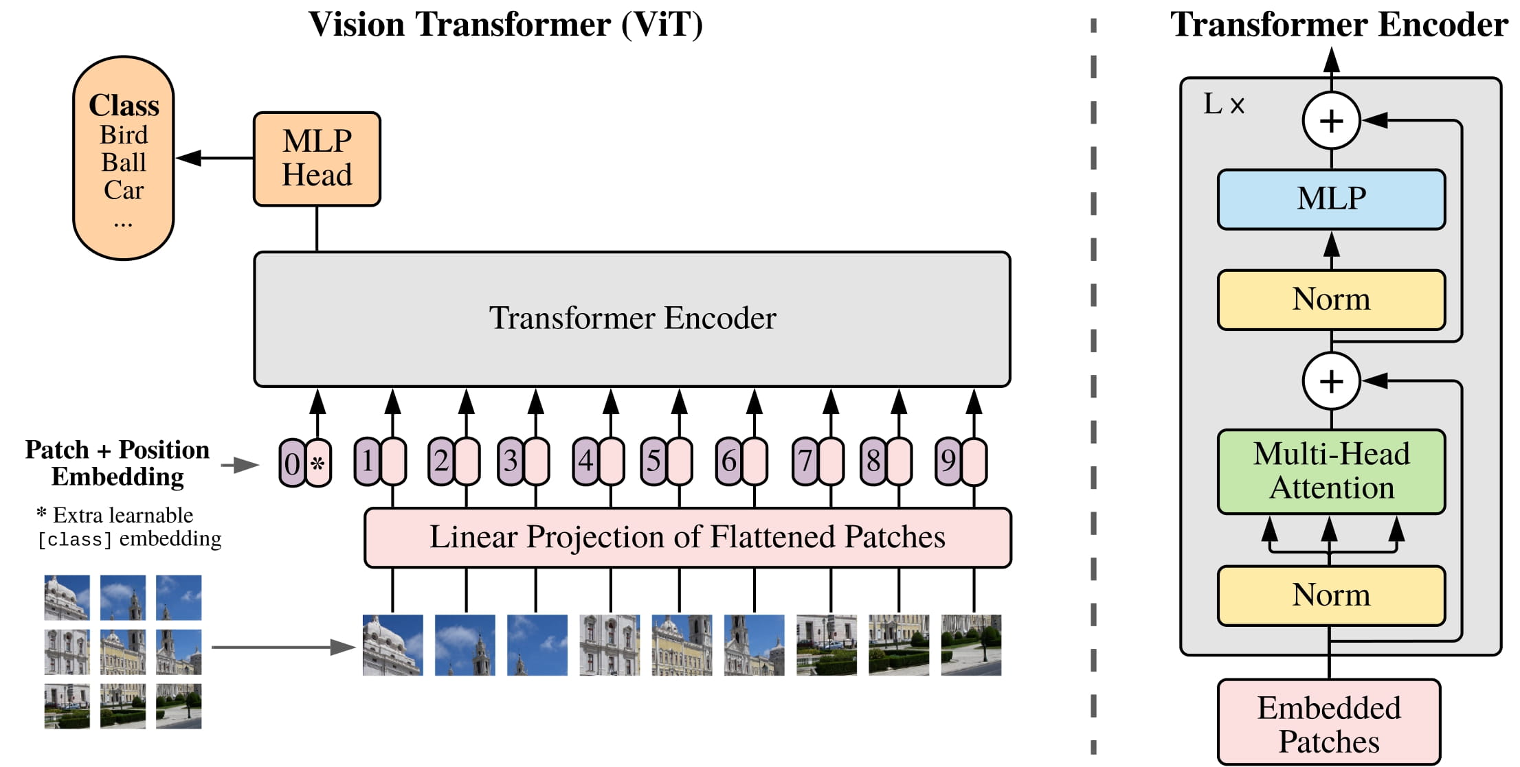 ViT (Vision Transformer)