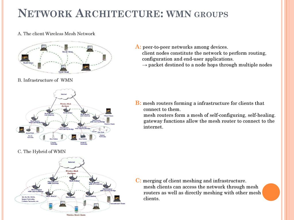 WMN network